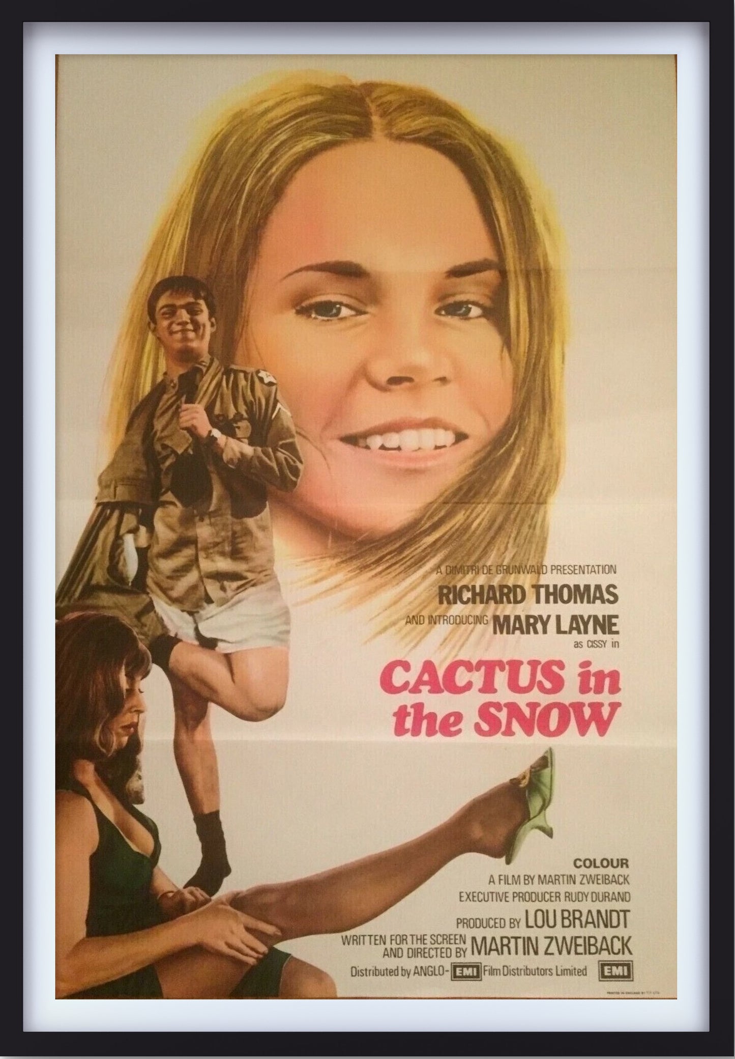 Cactus in the Snow - 1971