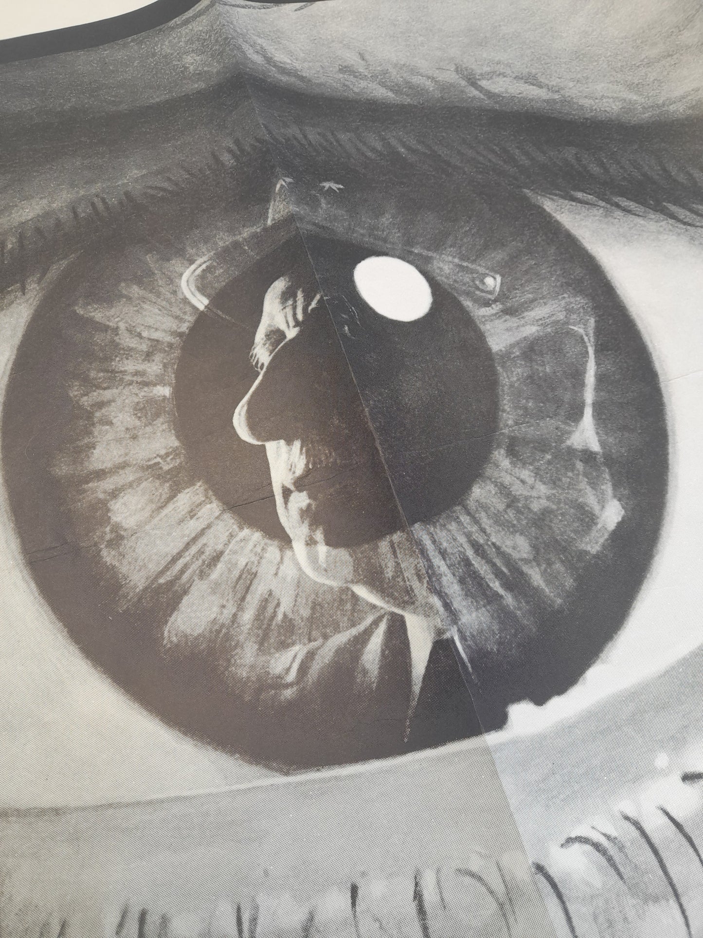 The Day of the Jackal - 1973