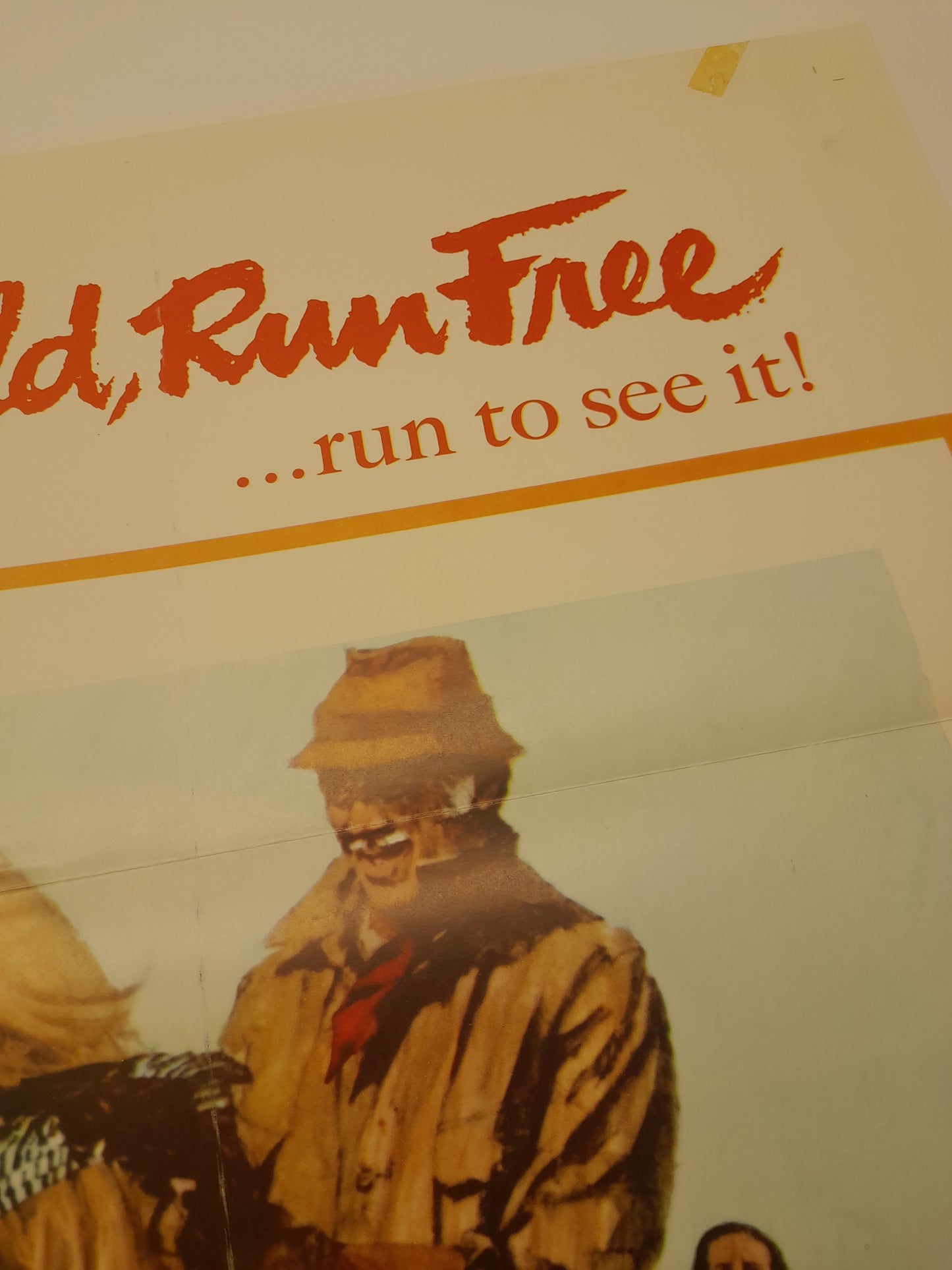 Run Wild, Run Free - 1969